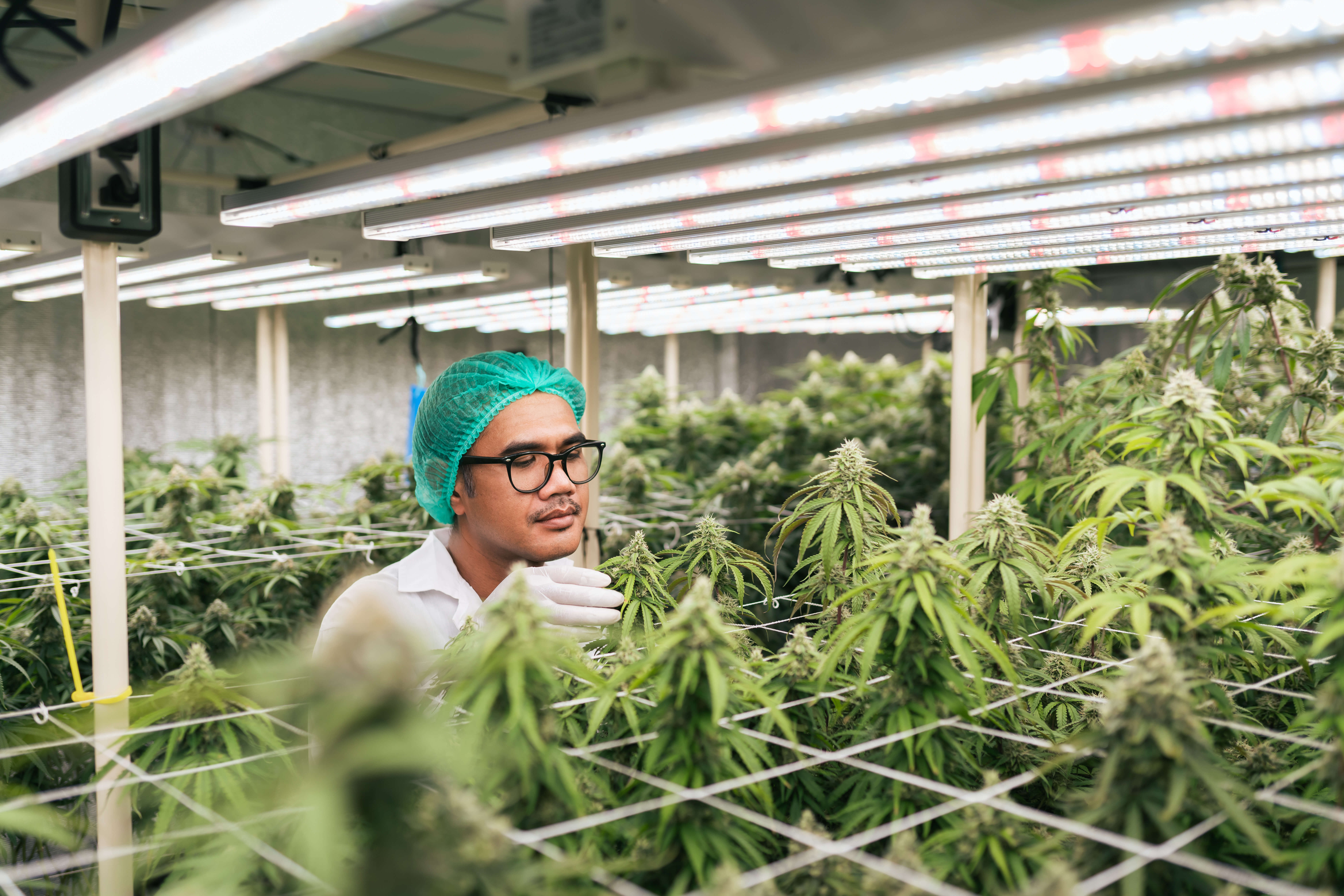 Secure grow facilities